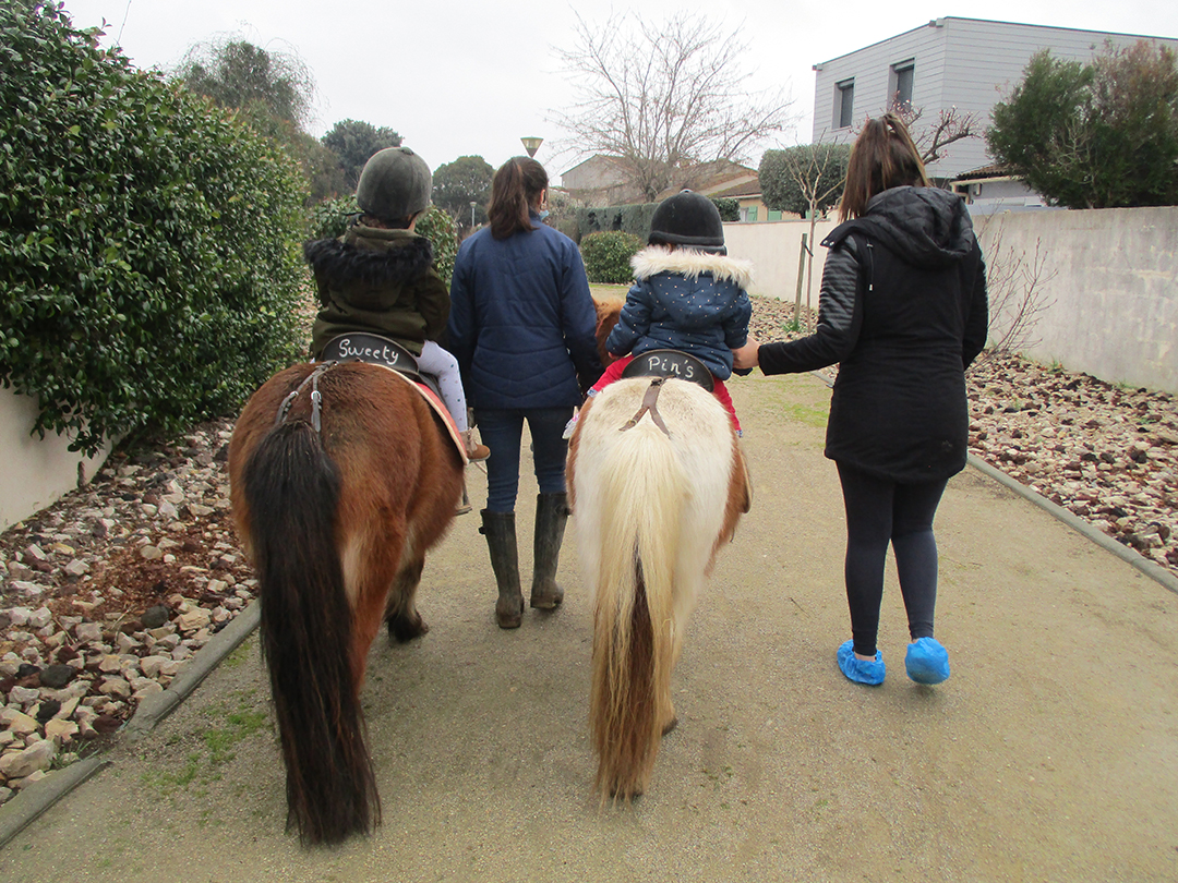 creche ferme poussins cheval poney