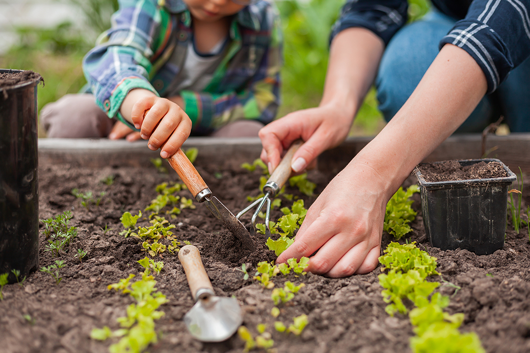 crèche les poussins et son potager